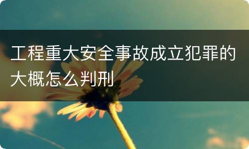 工程重大安全事故成立犯罪的大概怎么判刑