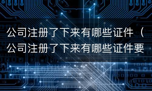 公司注册了下来有哪些证件（公司注册了下来有哪些证件要求）