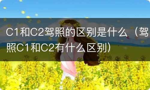 C1和C2驾照的区别是什么（驾照C1和C2有什么区别）