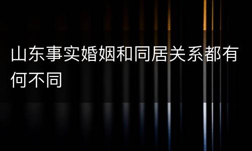 山东事实婚姻和同居关系都有何不同