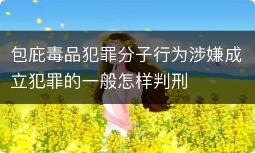 包庇毒品犯罪分子行为涉嫌成立犯罪的一般怎样判刑