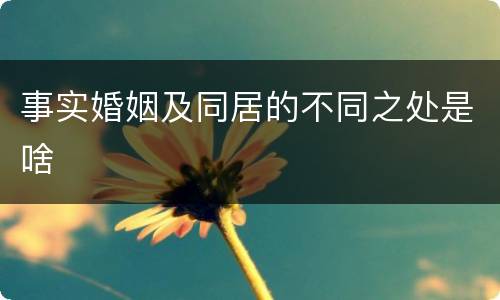 事实婚姻及同居的不同之处是啥
