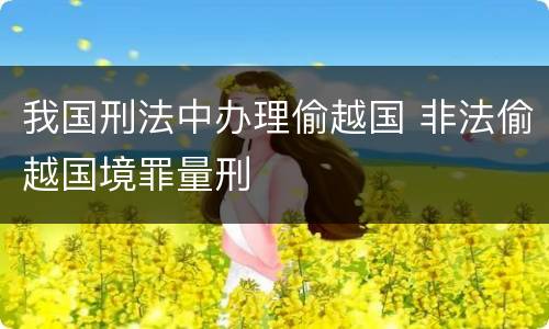 我国刑法中办理偷越国 非法偷越国境罪量刑