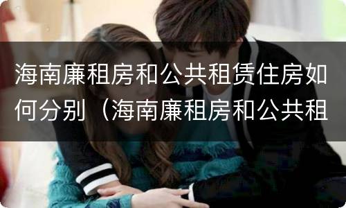 海南廉租房和公共租赁住房如何分别（海南廉租房和公共租赁住房如何分别购买）