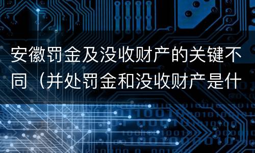 安徽罚金及没收财产的关键不同（并处罚金和没收财产是什么意思）