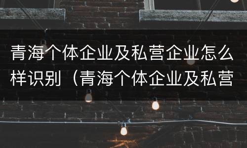 青海个体企业及私营企业怎么样识别（青海个体企业及私营企业怎么样识别真假）