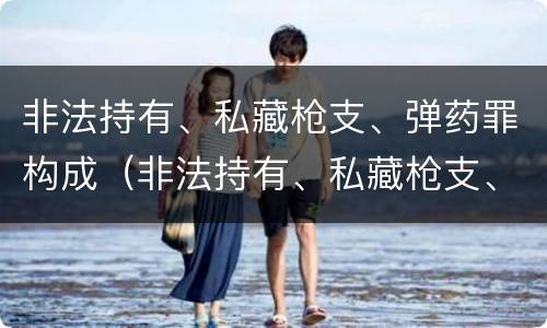 非法持有、私藏枪支、弹药罪构成（非法持有、私藏枪支、弹药罪）