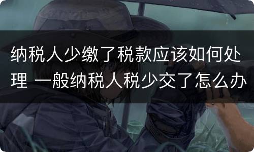 纳税人少缴了税款应该如何处理 一般纳税人税少交了怎么办