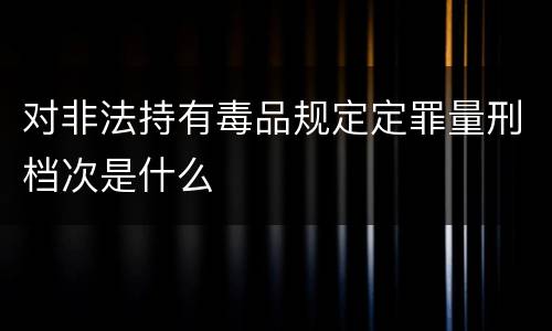 对非法持有毒品规定定罪量刑档次是什么