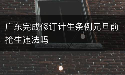广东完成修订计生条例元旦前抢生违法吗