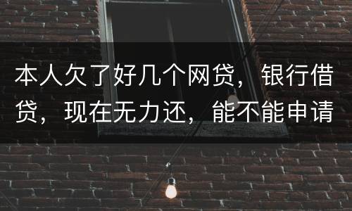 本人欠了好几个网贷，银行借贷，现在无力还，能不能申请破产
