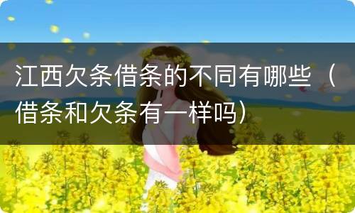 江西欠条借条的不同有哪些（借条和欠条有一样吗）