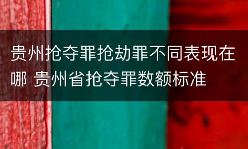 贵州抢夺罪抢劫罪不同表现在哪 贵州省抢夺罪数额标准