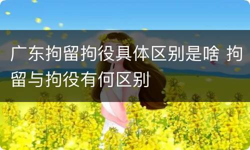 广东拘留拘役具体区别是啥 拘留与拘役有何区别
