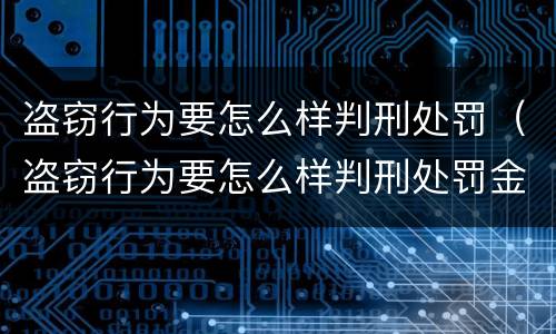 盗窃行为要怎么样判刑处罚（盗窃行为要怎么样判刑处罚金）
