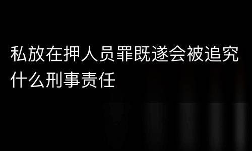 私放在押人员罪既遂会被追究什么刑事责任