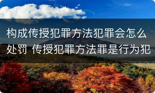 构成传授犯罪方法犯罪会怎么处罚 传授犯罪方法罪是行为犯吗