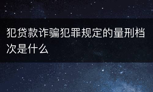 犯贷款诈骗犯罪规定的量刑档次是什么