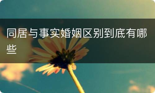 同居与事实婚姻区别到底有哪些