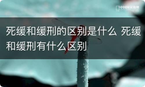 死缓和缓刑的区别是什么 死缓和缓刑有什么区别