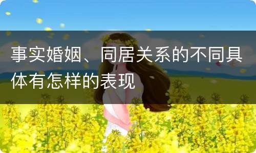 事实婚姻、同居关系的不同具体有怎样的表现