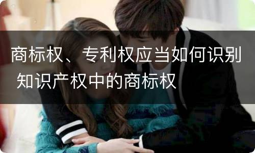 商标权、专利权应当如何识别 知识产权中的商标权