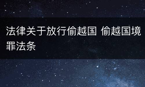 法律关于放行偷越国 偷越国境罪法条