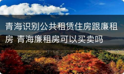 青海识别公共租赁住房跟廉租房 青海廉租房可以买卖吗