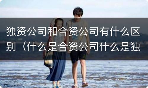 独资公司和合资公司有什么区别（什么是合资公司什么是独资公司）
