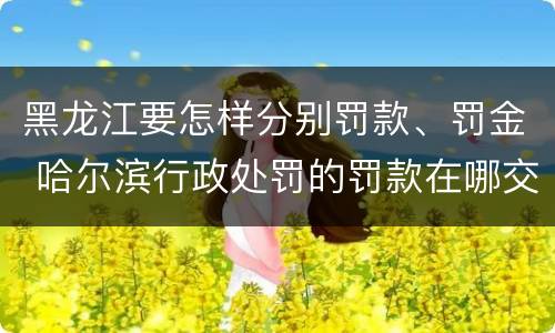 黑龙江要怎样分别罚款、罚金 哈尔滨行政处罚的罚款在哪交