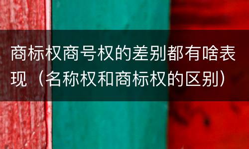 商标权商号权的差别都有啥表现（名称权和商标权的区别）