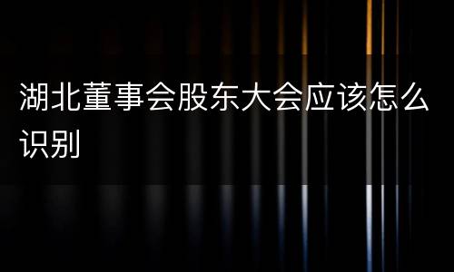 湖北董事会股东大会应该怎么识别