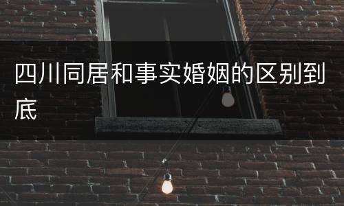 四川同居和事实婚姻的区别到底