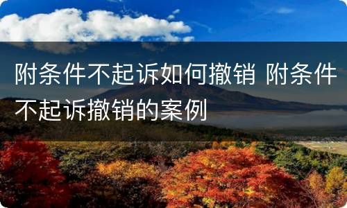 附条件不起诉如何撤销 附条件不起诉撤销的案例