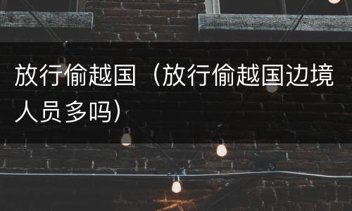 放行偷越国（放行偷越国边境人员多吗）
