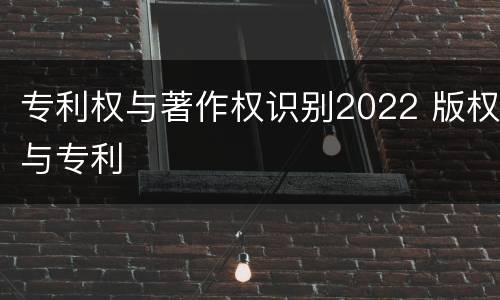 专利权与著作权识别2022 版权与专利