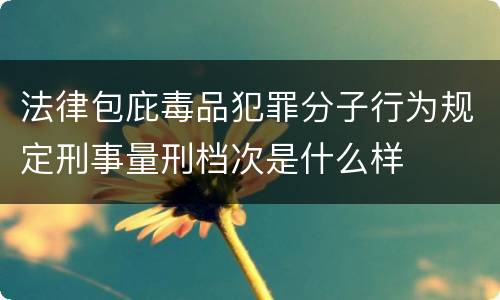 法律包庇毒品犯罪分子行为规定刑事量刑档次是什么样