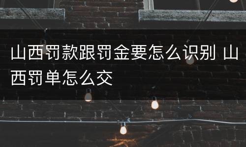山西罚款跟罚金要怎么识别 山西罚单怎么交