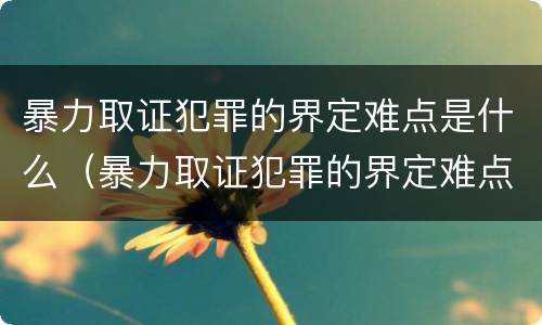 暴力取证犯罪的界定难点是什么（暴力取证犯罪的界定难点是什么呢）
