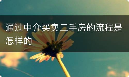 通过中介买卖二手房的流程是怎样的