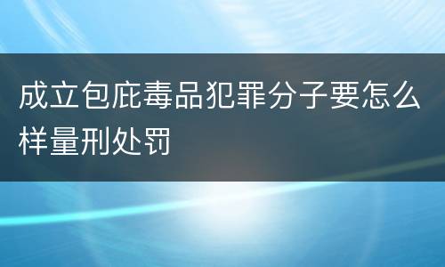 成立包庇毒品犯罪分子要怎么样量刑处罚