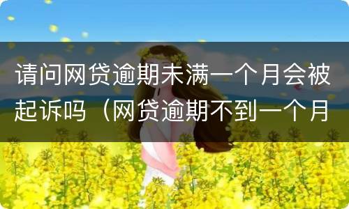 请问网贷逾期未满一个月会被起诉吗（网贷逾期不到一个月）