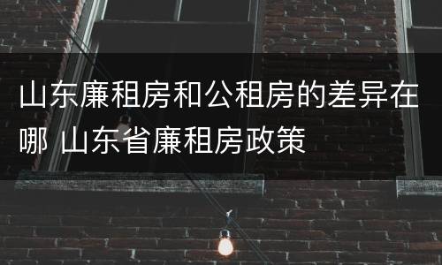 山东廉租房和公租房的差异在哪 山东省廉租房政策