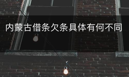 内蒙古借条欠条具体有何不同