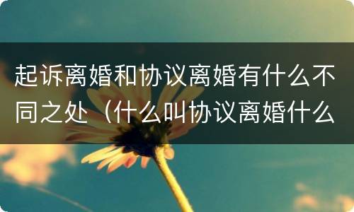 起诉离婚和协议离婚有什么不同之处（什么叫协议离婚什么叫起诉离婚）