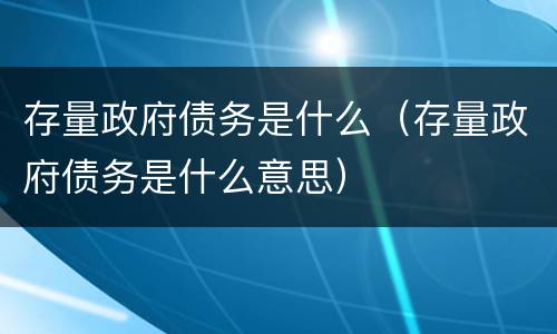 存量政府债务是什么（存量政府债务是什么意思）