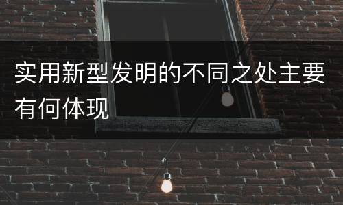 实用新型发明的不同之处主要有何体现