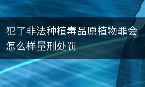犯了非法种植毒品原植物罪会怎么样量刑处罚
