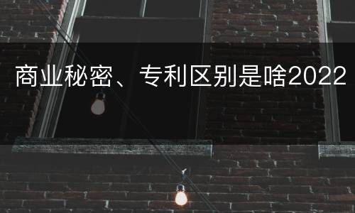 商业秘密、专利区别是啥2022