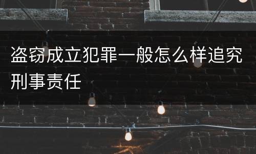 盗窃成立犯罪一般怎么样追究刑事责任